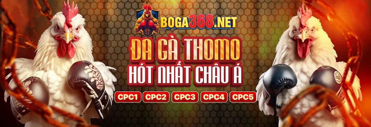 uuu888 - Trường đá gà trực tuyến sôi động